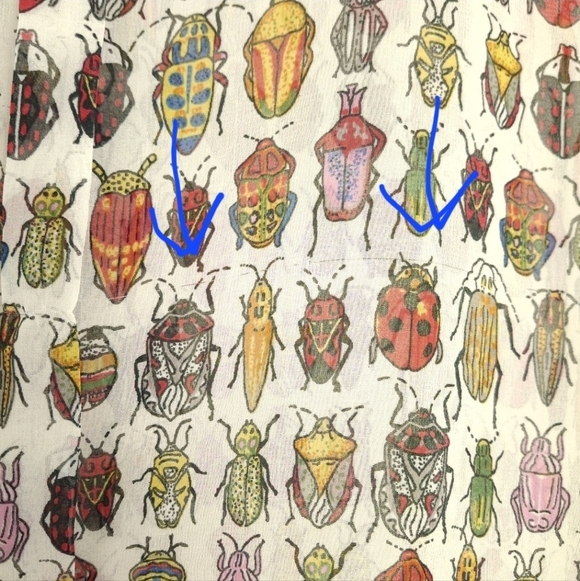 Zara Sheer Beetle Bug Peter Pan Collar Shortsleeve Blouse - Picture 10 of 10